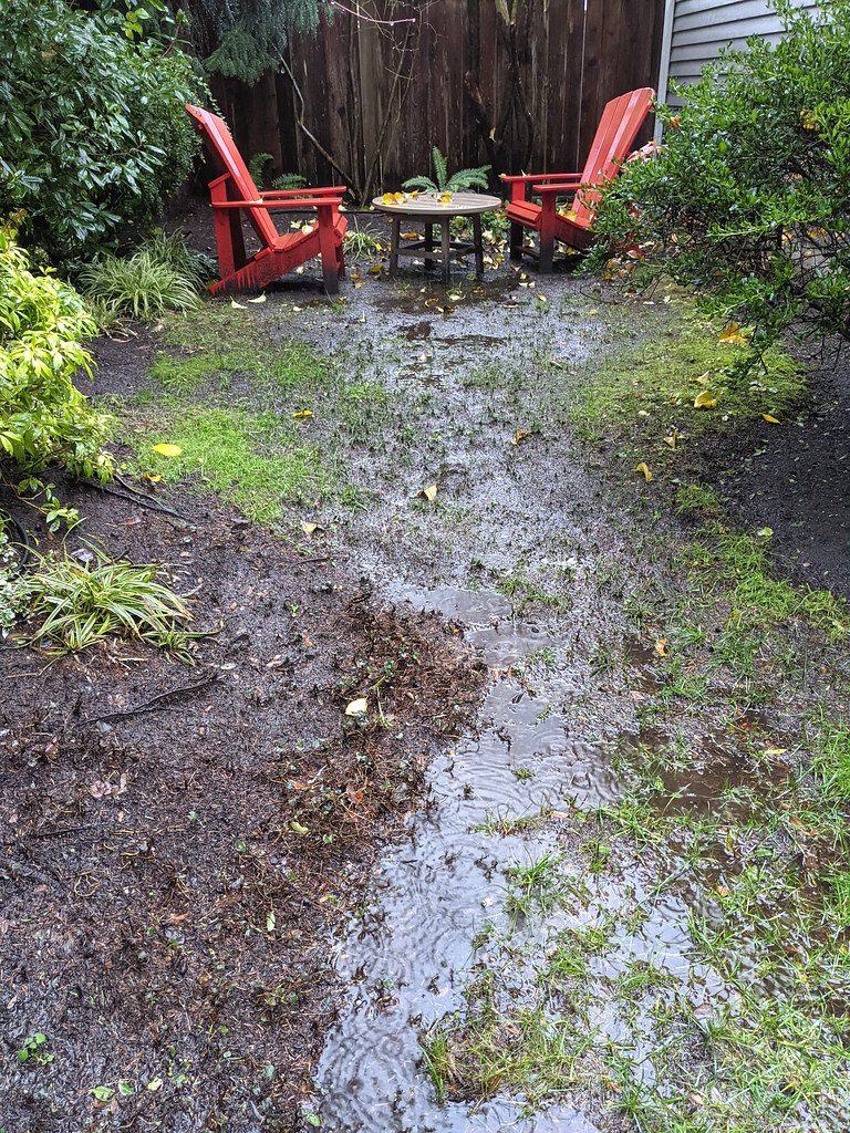 a soggy lawn patch over a leaking sewer line